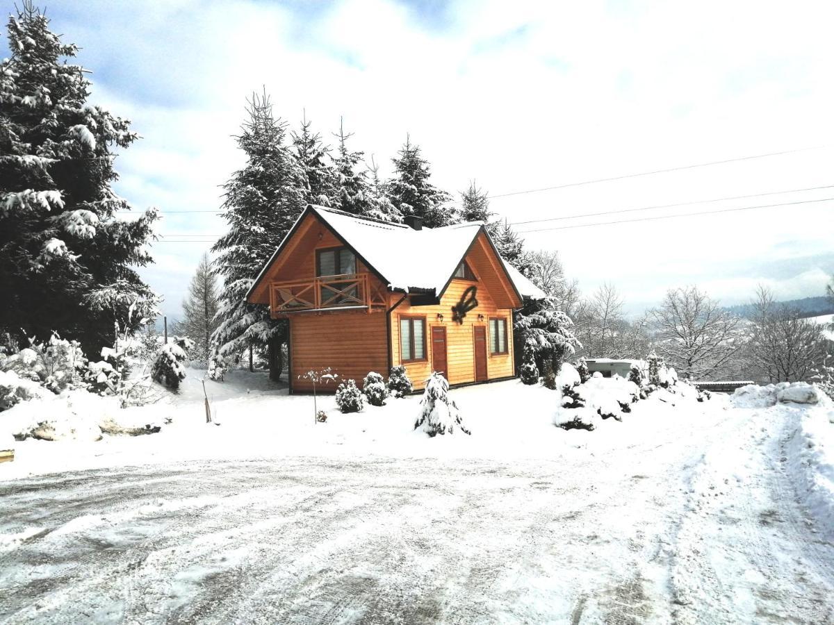 Widokowe Wzgórze Uherce Mineralne 69 Apartament Exterior foto